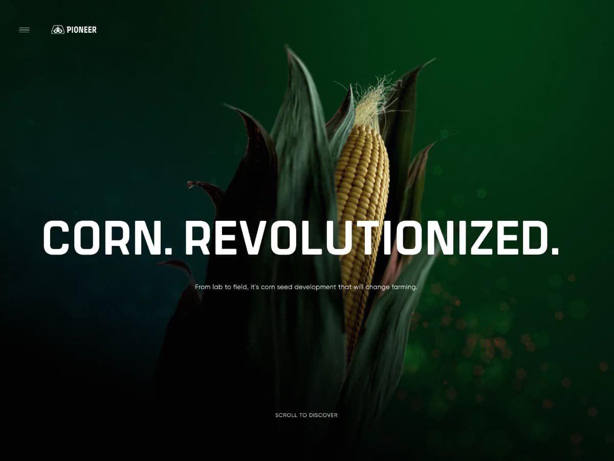 Pioneer – Corn. Revolutionized. website preview by Resn