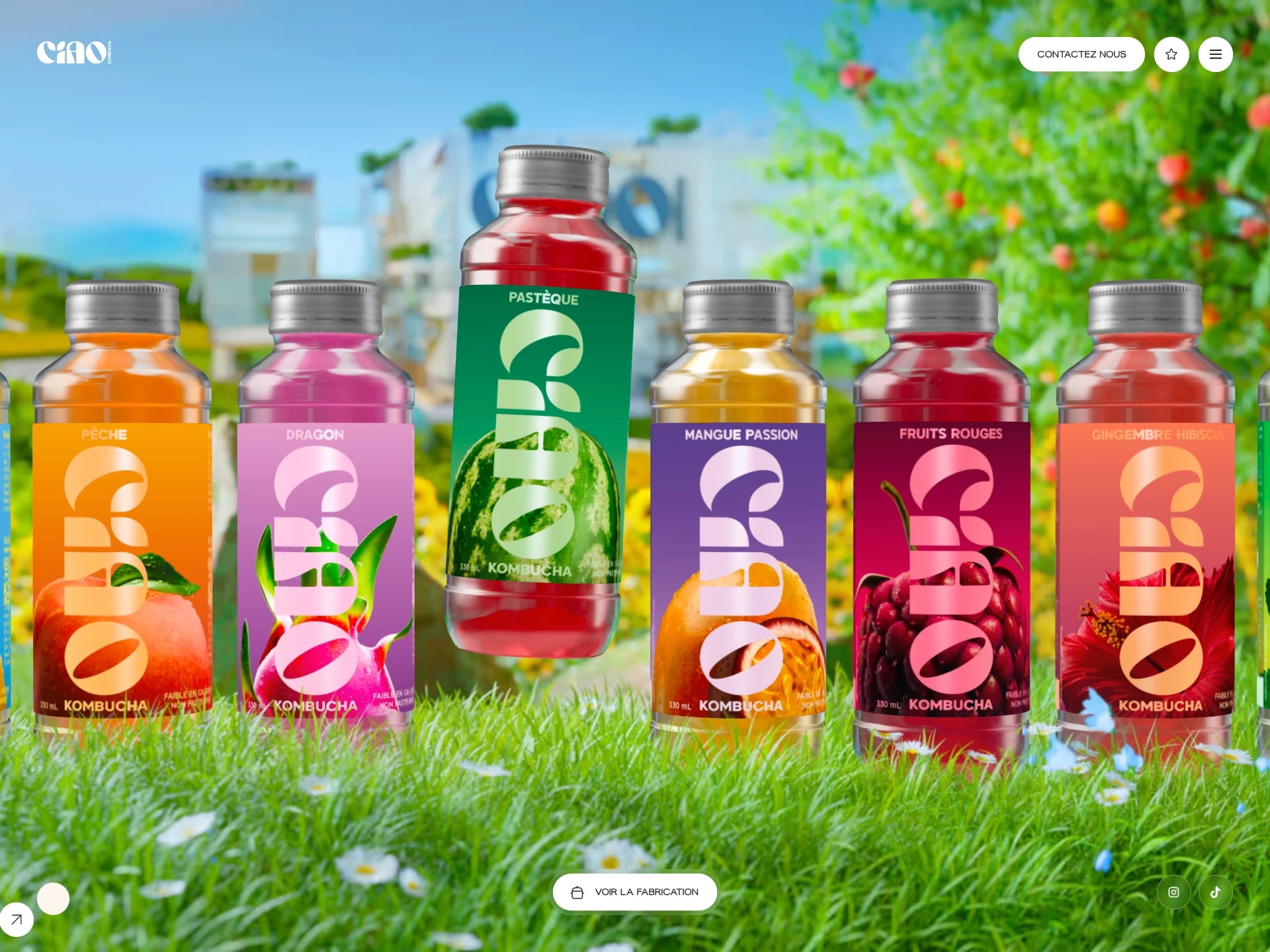Ciao Kombucha – Naturelle, faible en sucre, riche en probiotiques