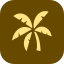 Palmo Coconut Co. - Pure Coconut Water favicon
