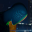 Giulio favicon
